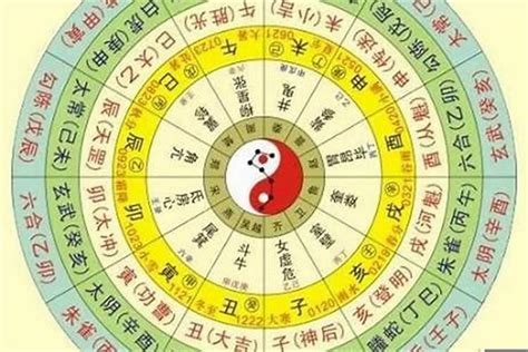 星算|生辰八字算命、五行喜用神查询（免费测算）